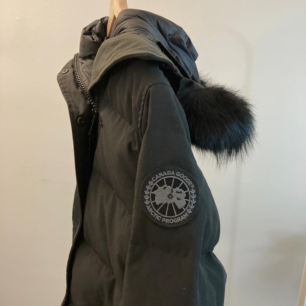 Rare Canada Goose All Black